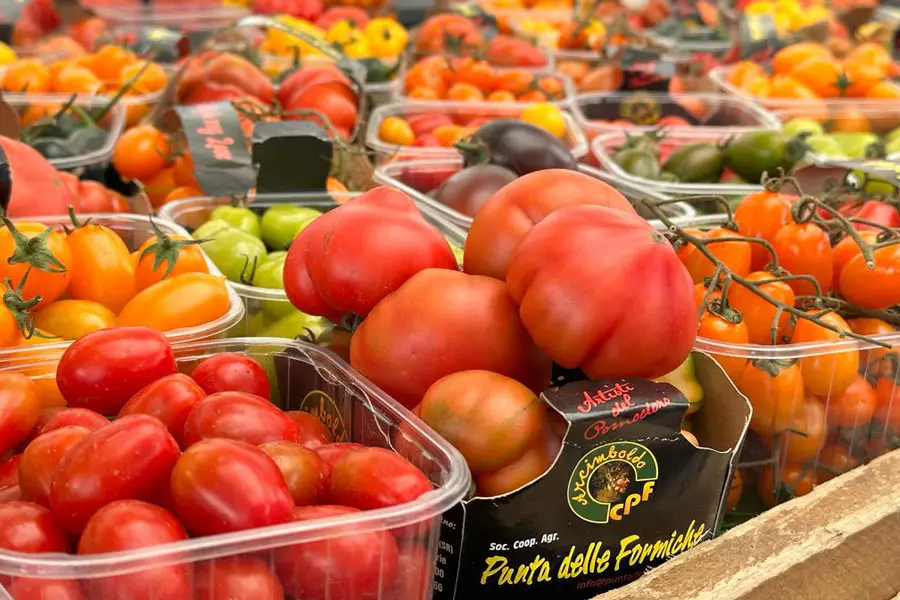 גלריה-1קלנועית-כשר-