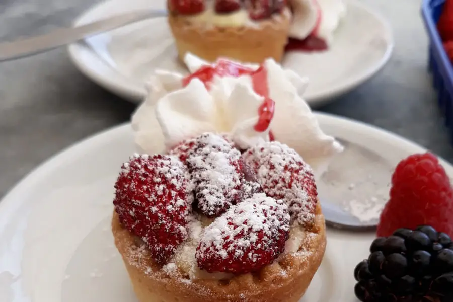 קסטלי רומאני | יום טיול מרומא | רומאחרת